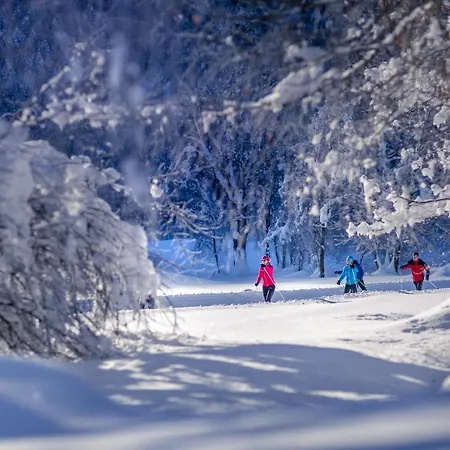 Apartman Mitterdorfer *
