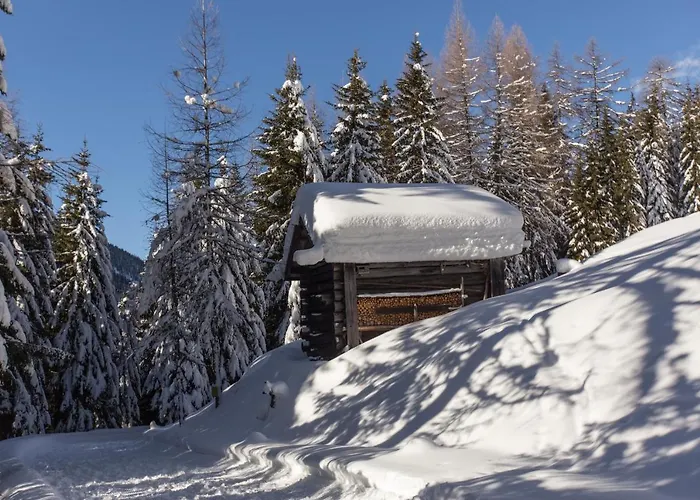 Daire Mitterdorfer *