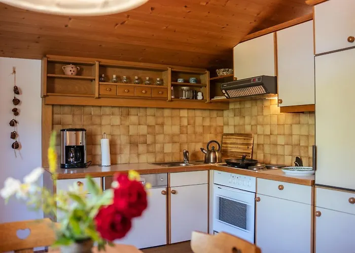 Daire Mitterdorfer *