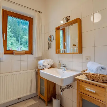 Mitterdorfer Apartment Abfaltersbach